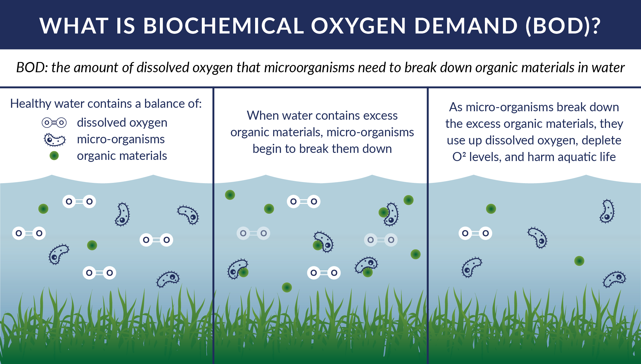 How Do Deicers Affect Biochemical Oxygen Demand?